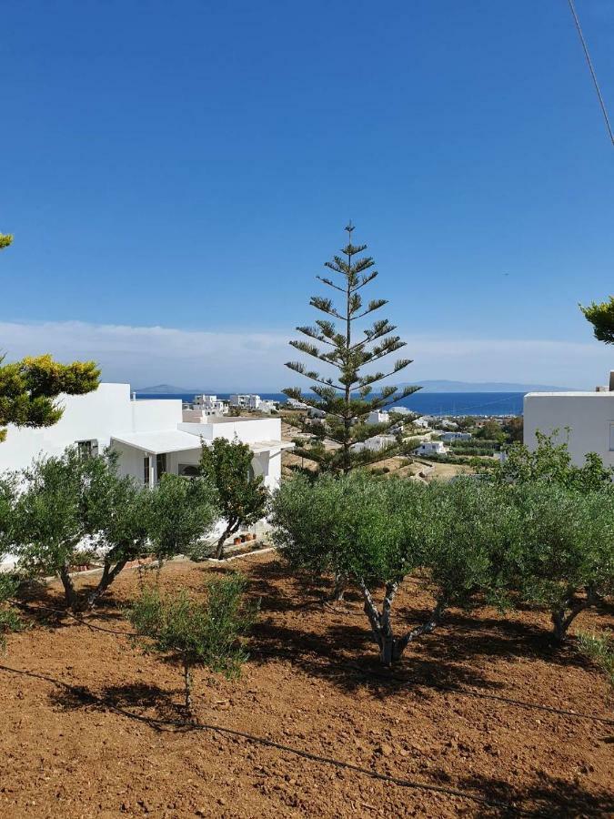 Anthoula'S Sea View Apartment Piso Livadi Exterior foto